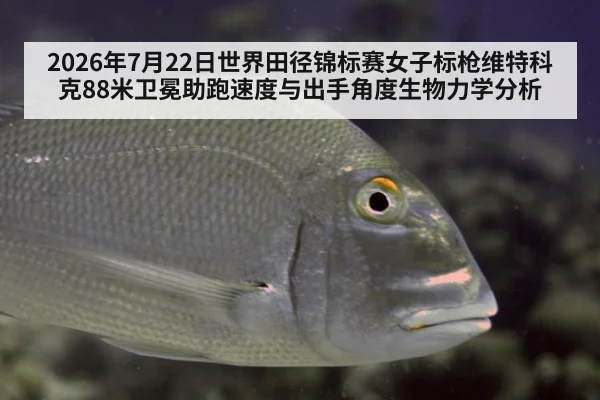 2026年7月22日世界田径锦标赛女子标枪维特科克88米卫冕助跑速度与出手角度生物力学分析
